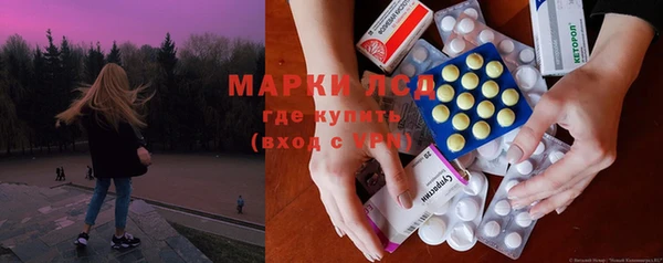 индика Арсеньев