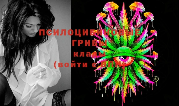 индика Арсеньев