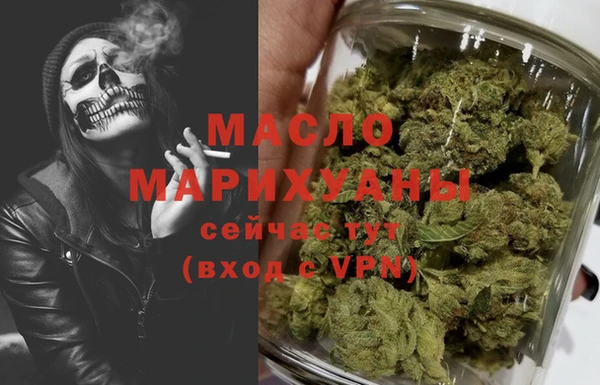 индика Арсеньев
