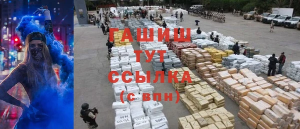 гидра Пестово