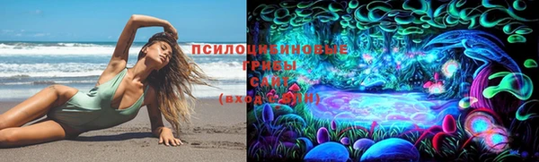 индика Арсеньев