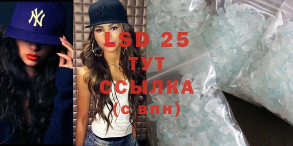 индика Арсеньев