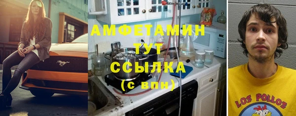 индика Арсеньев