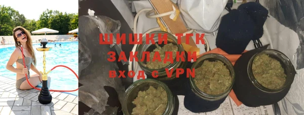 индика Арсеньев