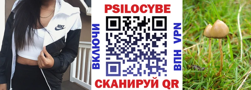 Псилоцибиновые грибы мицелий  Белинский 
